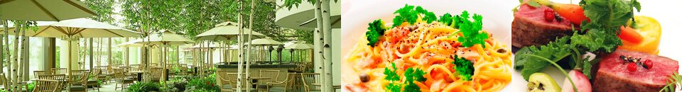 Anti-Aging Lounge Symphony