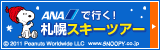 ANA 北海道スキー&スノーボード